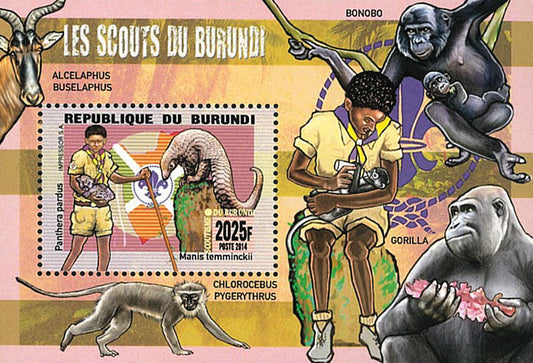 Scouting : Scouts of Burundi / Fauna / Flora / Mushrooms (I)