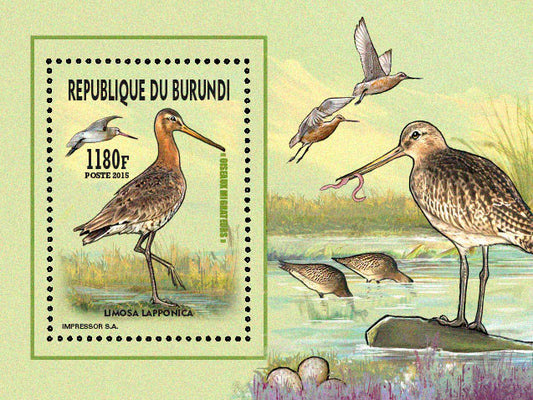Fauna & Flora : Birds 2015 (I) Les Gallinules & Rallidés