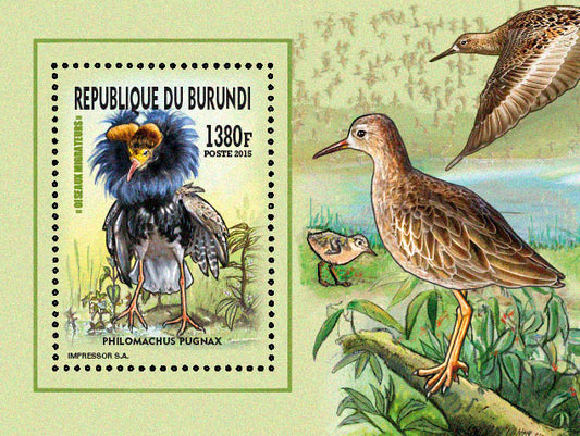 Fauna & Flora : Birds 2015 (II) Les Gallinules & Palmipèdes