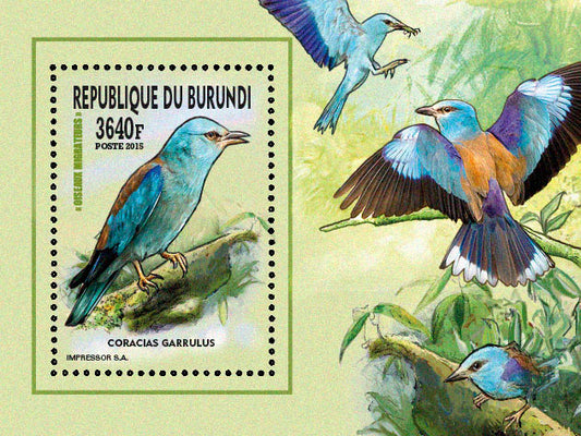 Fauna & Flora : Birds 2015 (VII) Oiseaux divers
