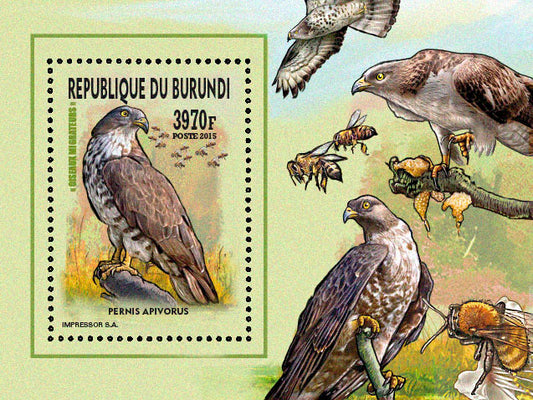 Fauna & Flora : Birds 2015 (VIII) Les Rapaces