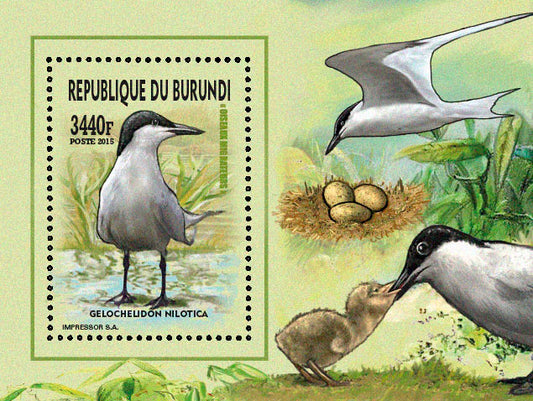 Fauna & Flora : Birds 2015 (VI) Mouettes & Goélands