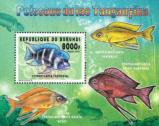 Fauna & Flora : Fish of Lake Tanganyka (I)