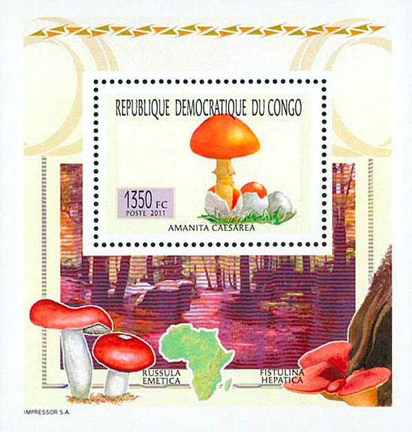 Mushrooms - Fauna & Flora (2011)