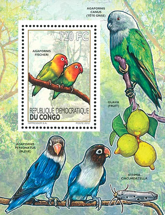 Birds / Parakeets - Fauna & Flora (2012)