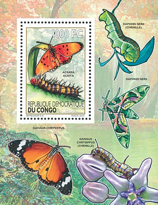 Caterpillars / Butterflies - Fauna & Flora (2012)