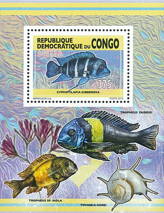 Freshwater fish / 1 (2013)