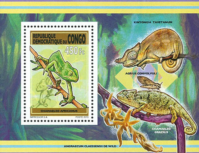 Chameleons (2013)