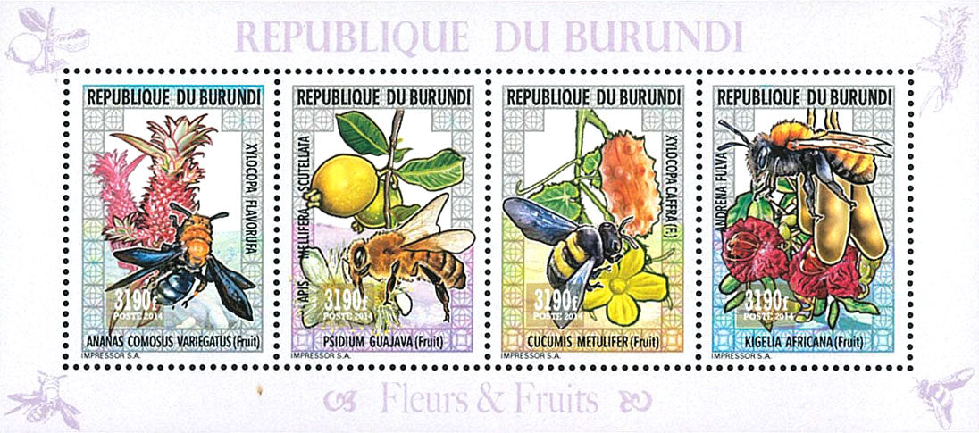 Fauna & Flora : Bees, Flowers and Fruits