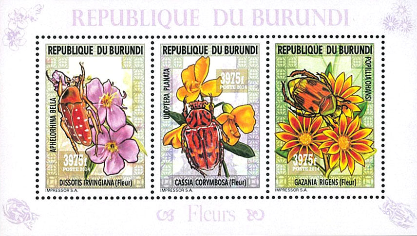 Fauna & Flora : Insects and Flowers