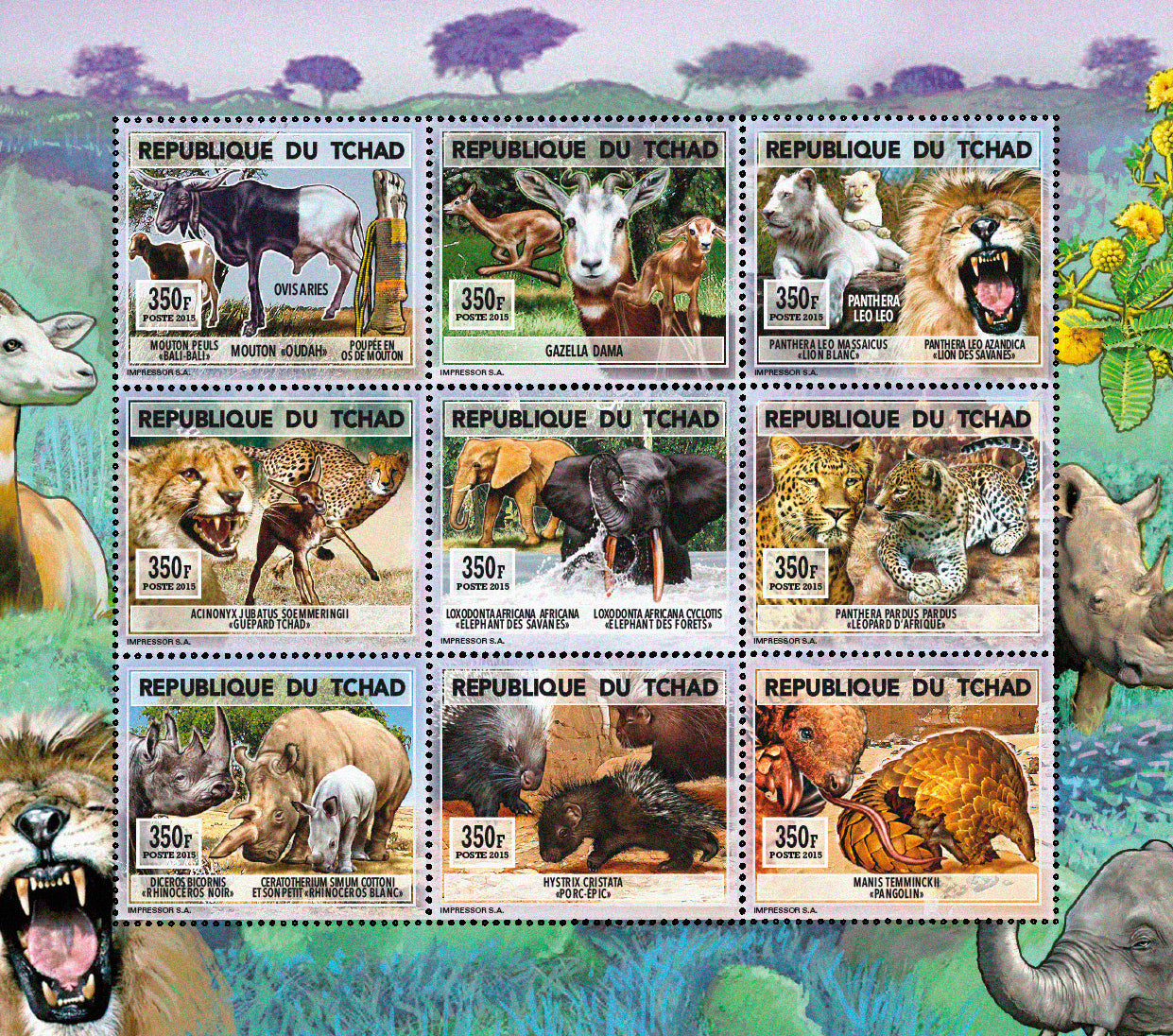 Natural History / Wild Animals