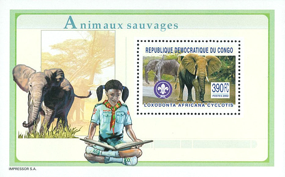Elephants, Gorillas & Hippotamus - SCOUTING