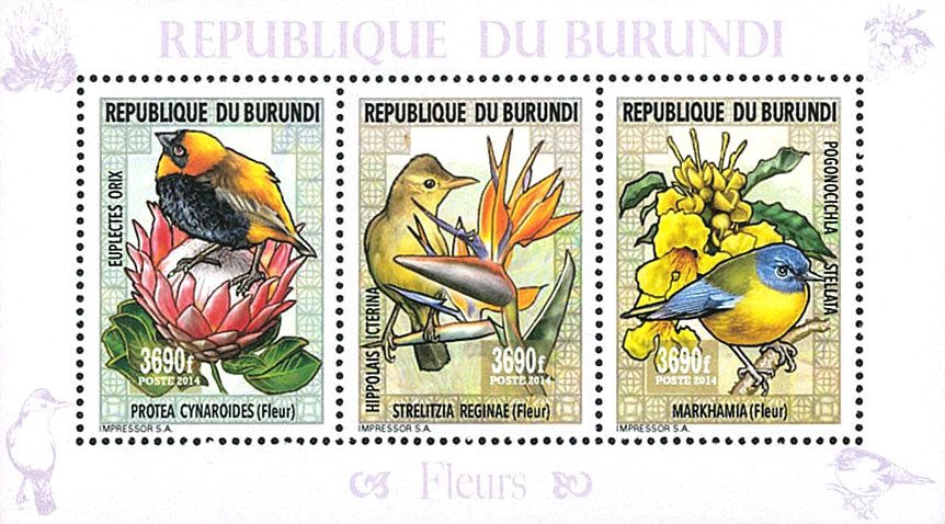 Fauna & Flora : Flowers and Birds