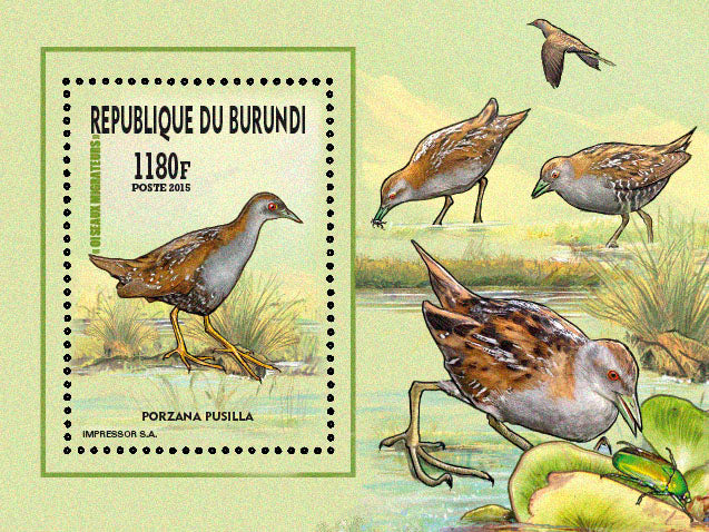 Fauna & Flora : Birds 2015 (I) Les Gallinules & Rallidés