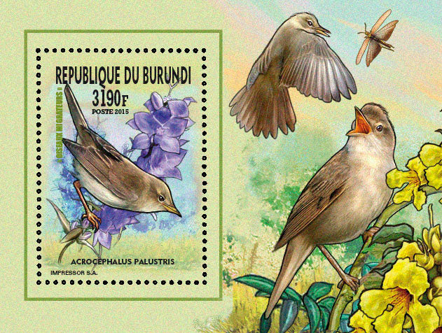Fauna & Flora : Birds 2015 (V) Nicheurs