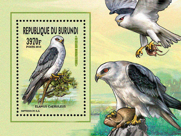Fauna & Flora : Birds 2015 (VIII) Les Rapaces