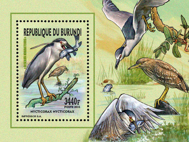 Fauna & Flora : Birds 2015 (VI) Mouettes & Goélands