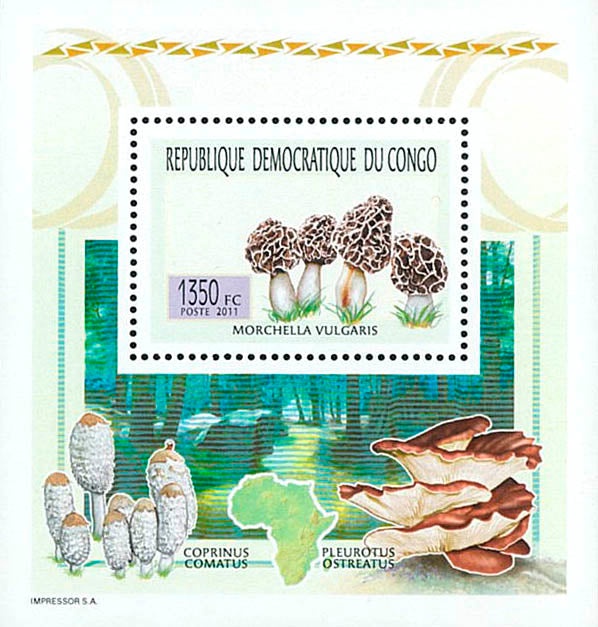 Mushrooms - Fauna & Flora (2011)