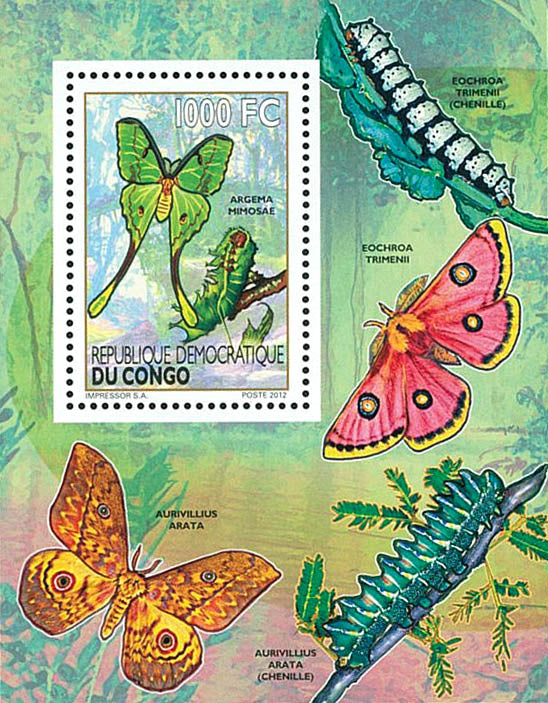 Caterpillars / Butterflies - Fauna & Flora (2012)