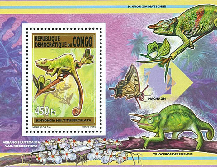 Chameleons (2013)
