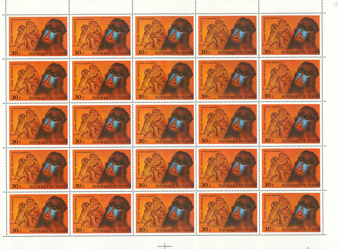 Mammals 1972