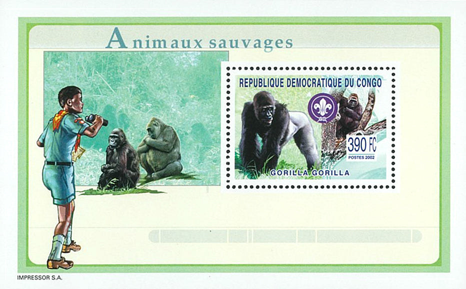 Elephants, Gorillas & Hippotamus - SCOUTING