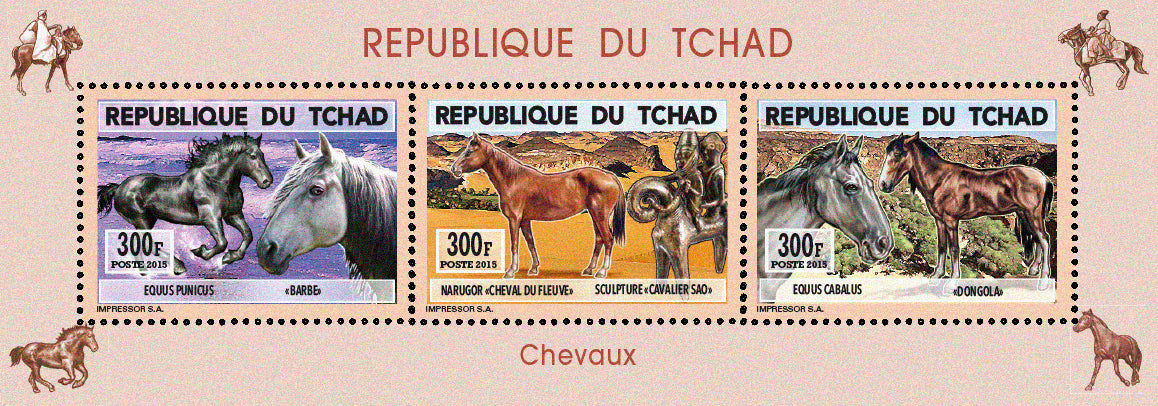 Natural History / Wild Horses