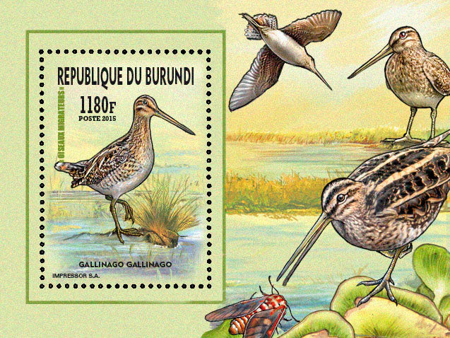 Fauna & Flora : Birds 2015 (I) Les Gallinules & Rallidés