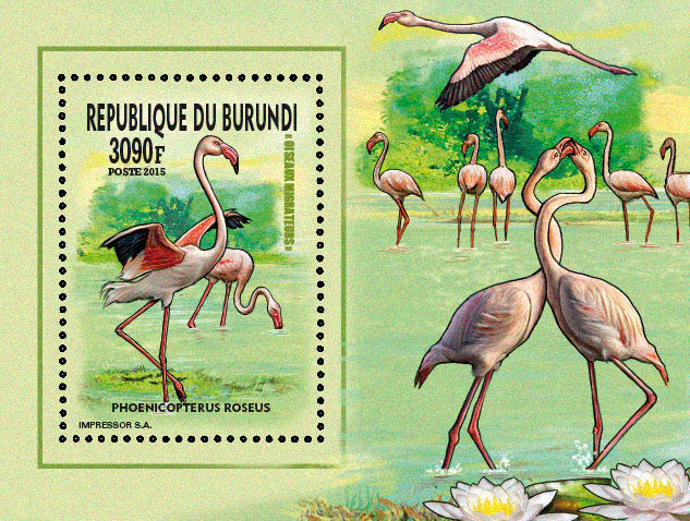 Fauna & Flora : Birds 2015 (IV) Echassiers