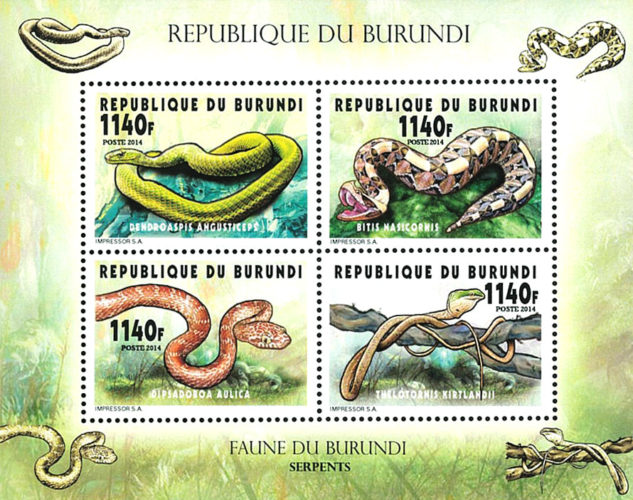 Fauna & Flora : Snakes