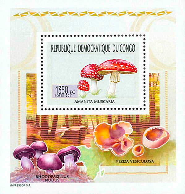 Mushrooms - Fauna & Flora (2011)