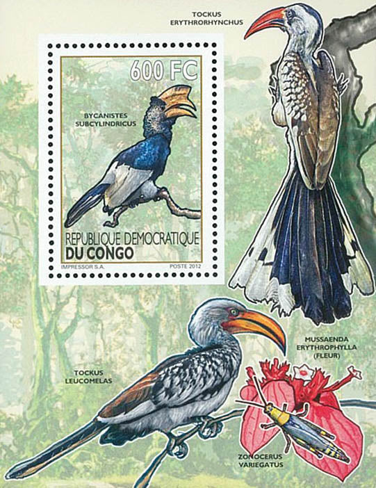 Birds / Calaos - Fauna & Flora (2012)