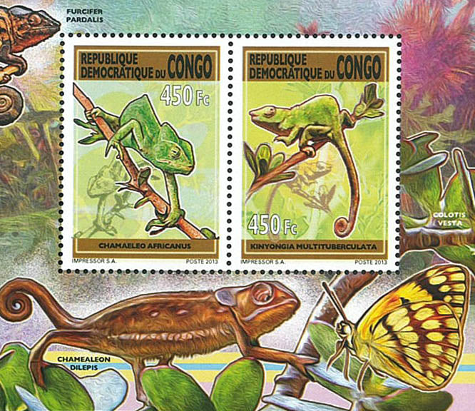Chameleons (2013)
