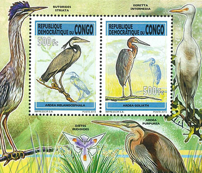 Herons (2013)