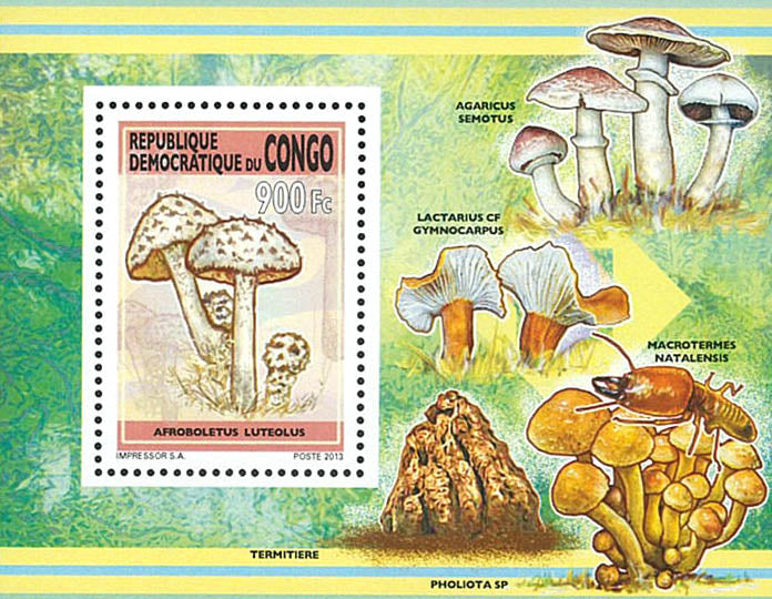 Mushrooms (2013)