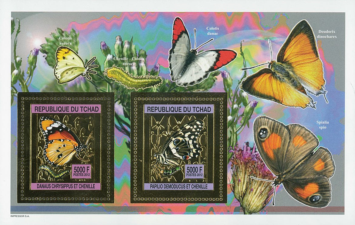 Butterflies and Caterpillars / Gold Issue