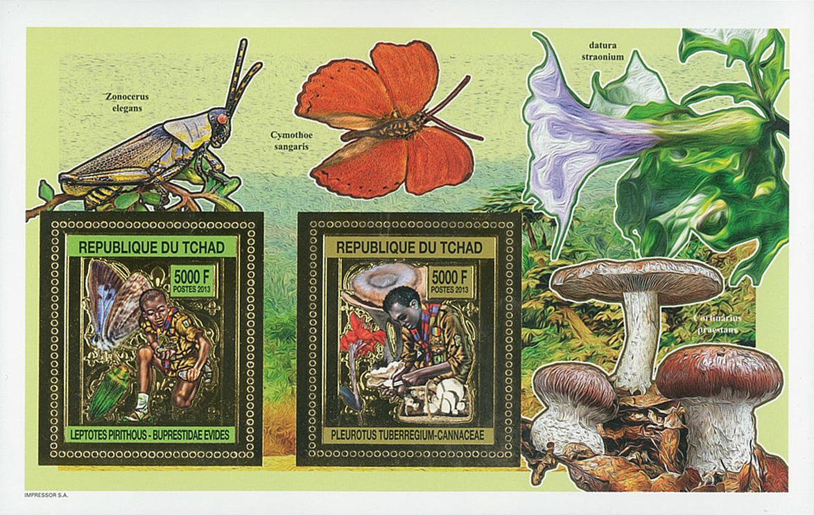 Scouting & Insects-Mushrooms / Gold Issue