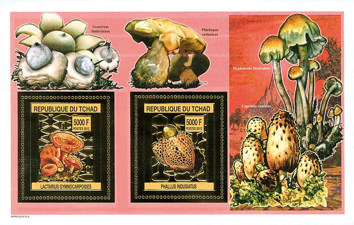Mushrooms Gold issue (2012)