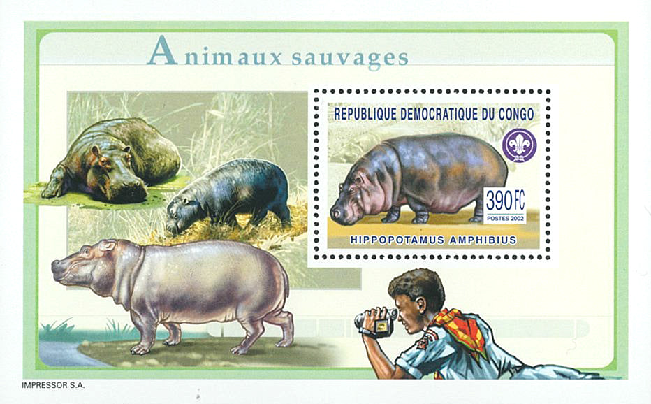 Elephants, Gorillas & Hippotamus - SCOUTING
