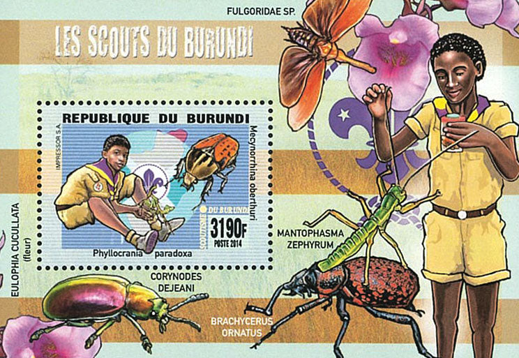 Scouting : Scouts of Burundi / Fauna / Flora / Mushrooms (I)