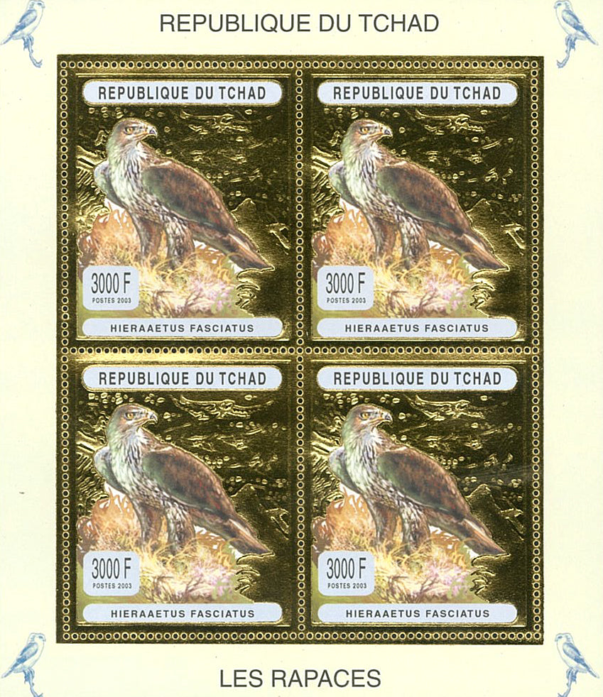 Birds Raptor - Silver & Gold (2003)