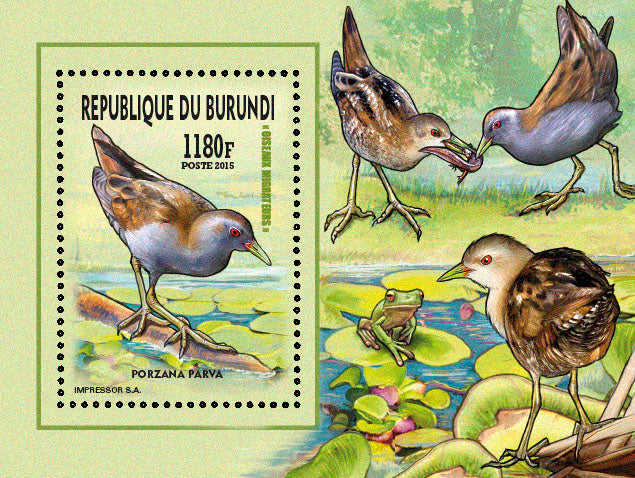 Fauna & Flora : Birds 2015 (I) Les Gallinules & Rallidés