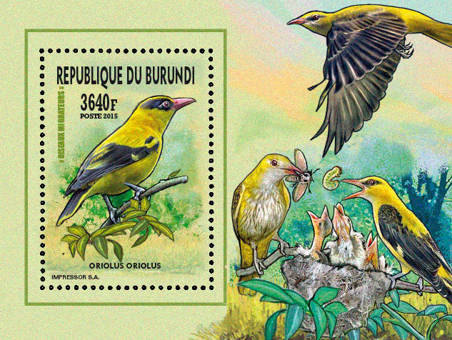 Fauna & Flora : Birds 2015 (VII) Oiseaux divers