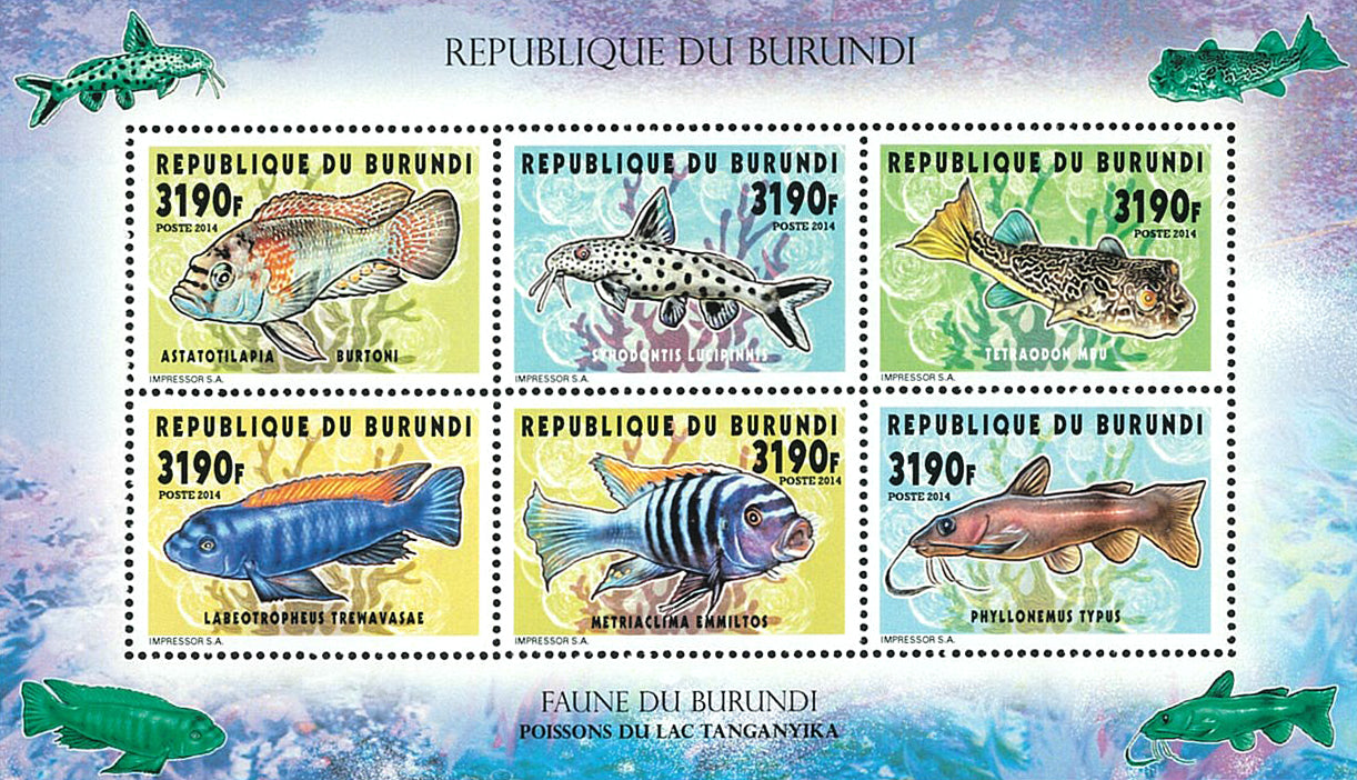 Fauna & Flora : Fish of Lake Tanganyka (II)
