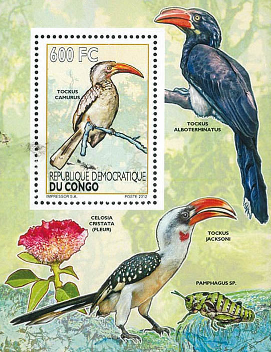 Birds / Calaos - Fauna & Flora (2012)