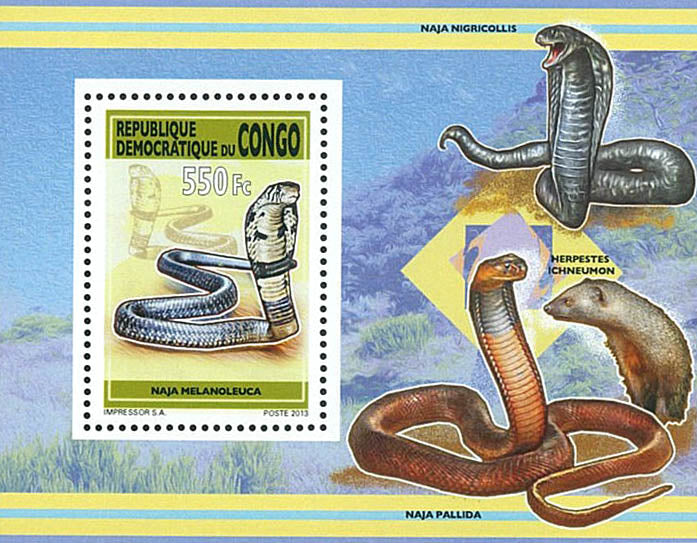 Snakes (2013)