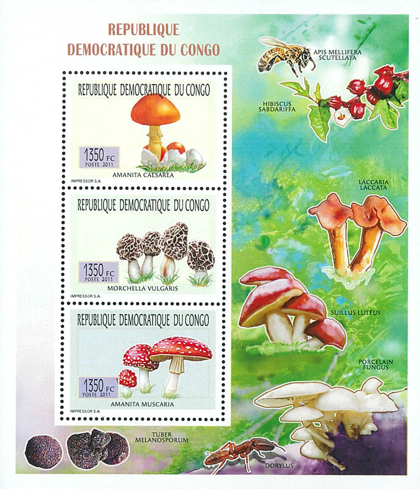 Mushrooms - Fauna & Flora (2011)