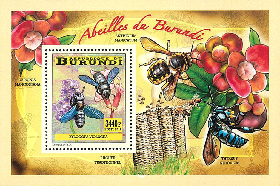 Fauna & Flora : Bees and Flowers