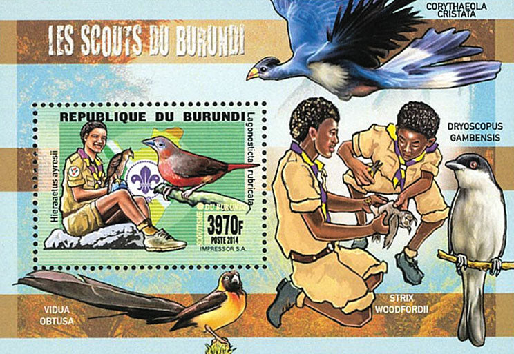 Scouting : Scouts of Burundi / Fauna / Flora / Mushrooms (I)