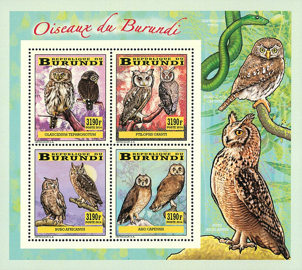 Fauna & Flora : Birds Owls